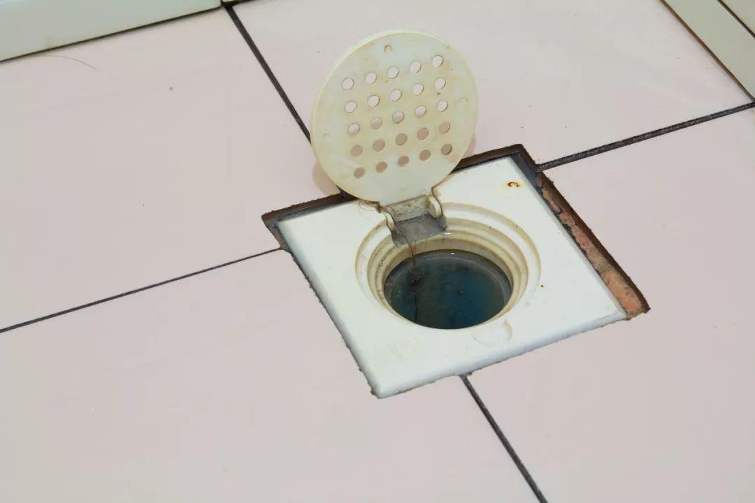 非典疫情起始时间探究