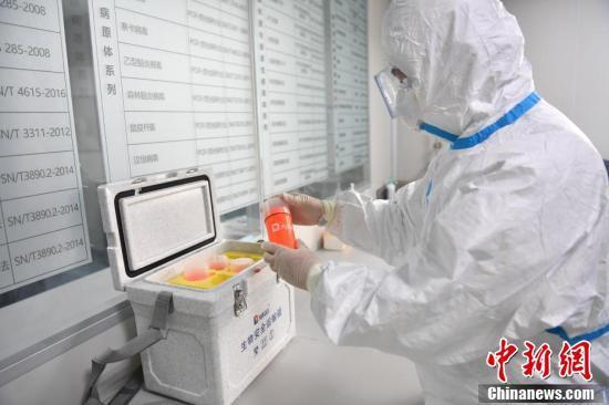 成都疫情结束时间的预测与应对，希望与挑战并存