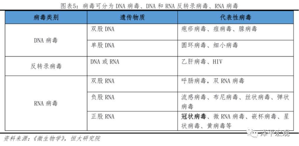疫情下的病毒，名称及其影响