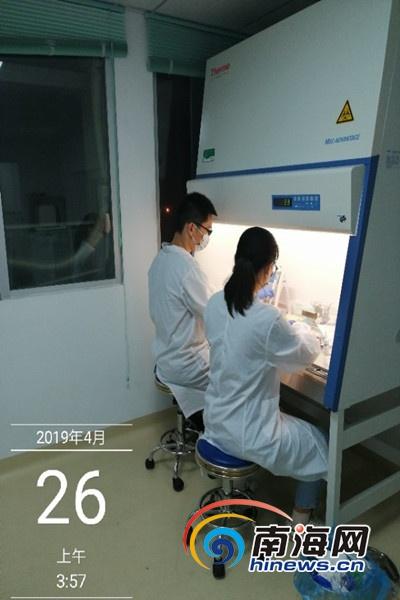非洲疫情背后的病毒谜团