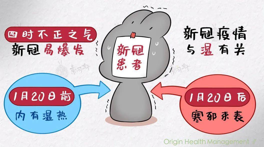疫情爆发年份及其影响