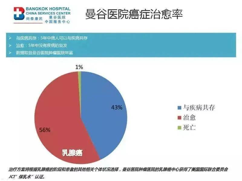 疫情最新数据权威发布，全球态势与应对策略的深入分析