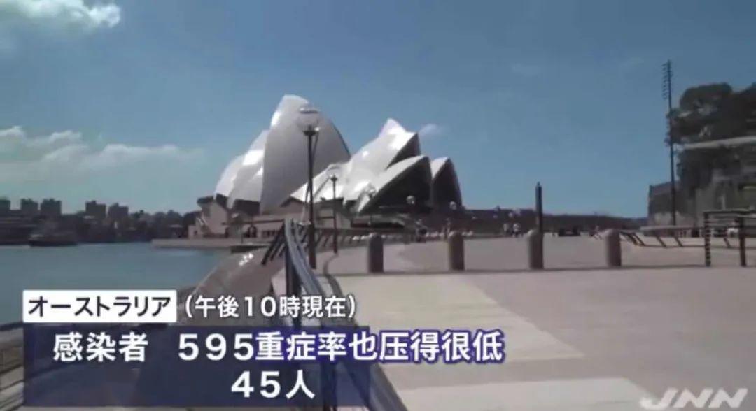 疫情背景下的国门开放之路，挑战与希望交织的时刻