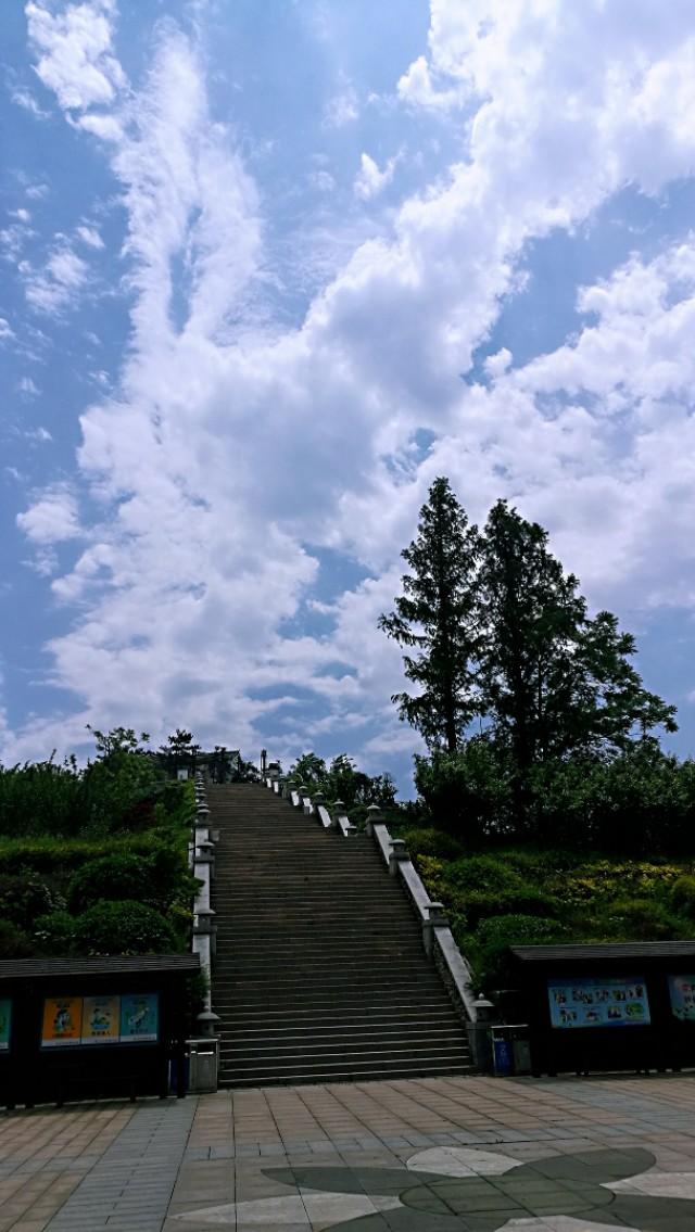 疫情全面开放的时间节点与后续展望