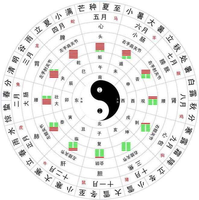 上海疫情开始时间深度解析