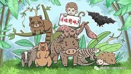 中国疫情发生的时间，回顾与反思