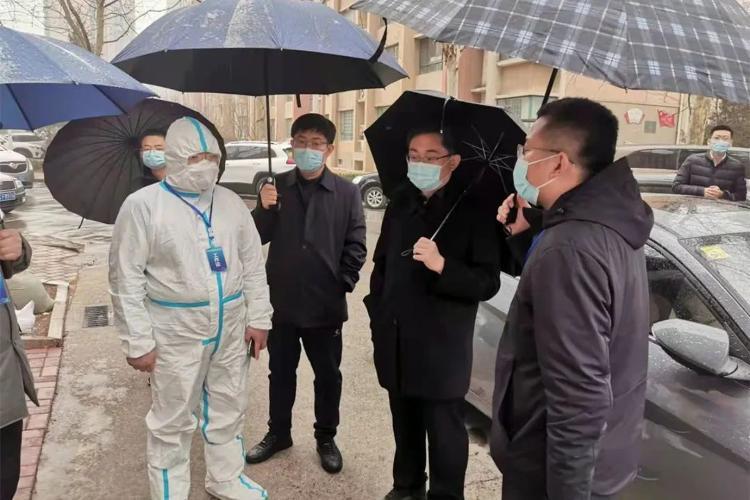 淄博疫情现状解析