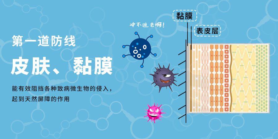 疫情是哪年开始的，回顾与反思
