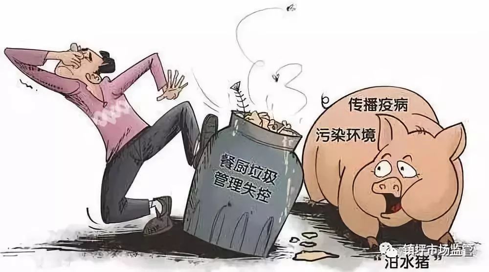 疫情始自何方，聚焦2019年疫情起源的探讨
