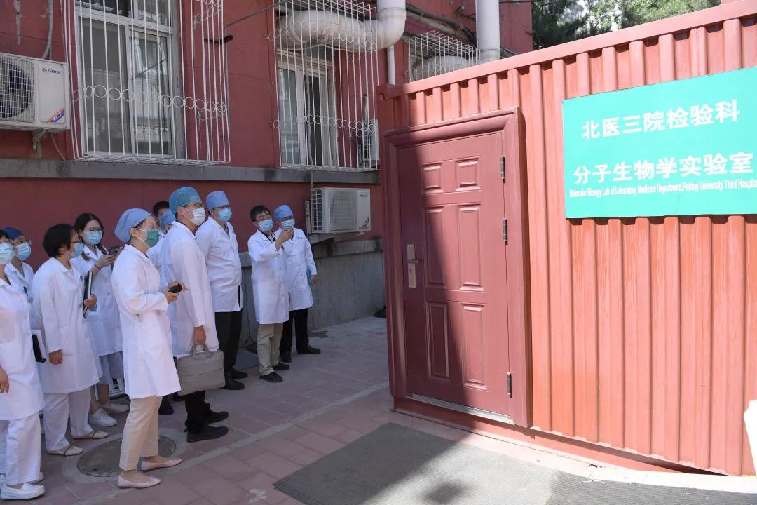 全国疫情分布图与新冠病毒的演变与挑战
