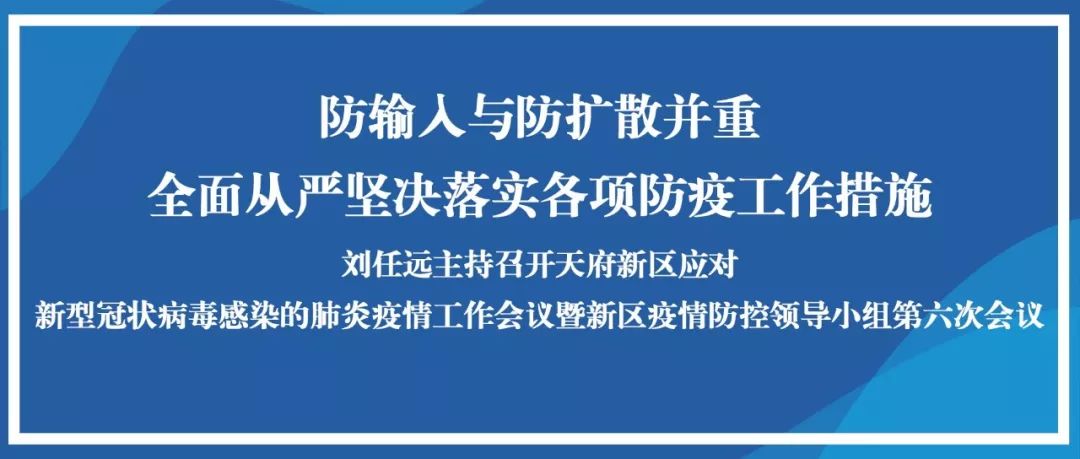 回顾与反思，关于XXXX年病毒疫情的挑战与启示
