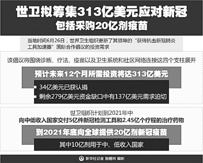 回顾与反思，关于XXXX年病毒疫情的挑战与启示