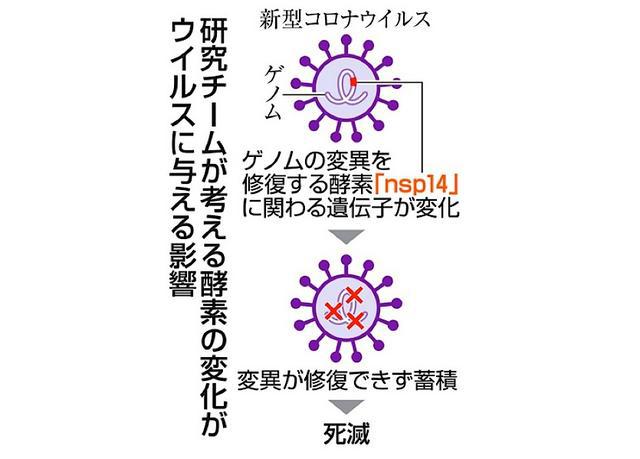 揭秘2020年疫情背后的病毒真相