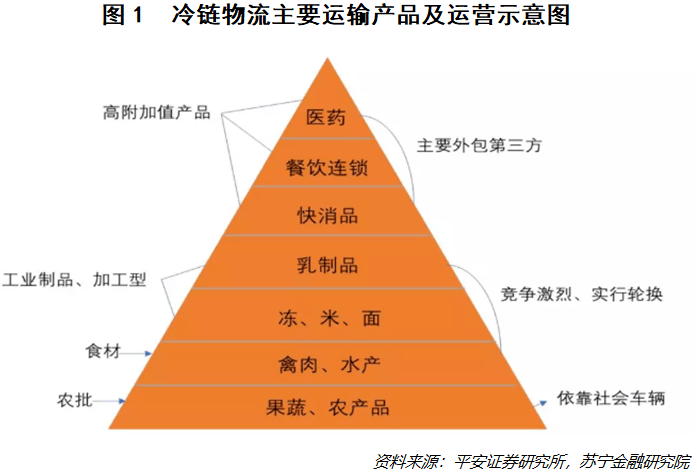 揭秘2020年疫情背后的起源与成因