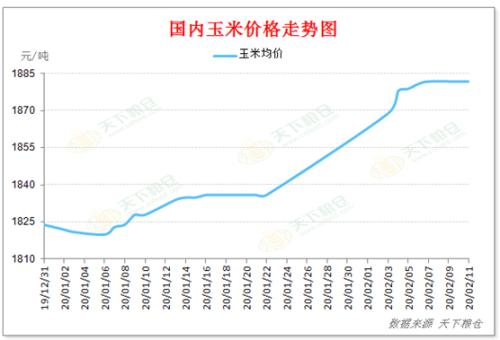 疫情下的新型病毒，名称及其影响
