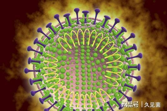 疫情，揭示这是什么病毒