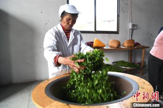 疫情始于哪一年的深度探究
