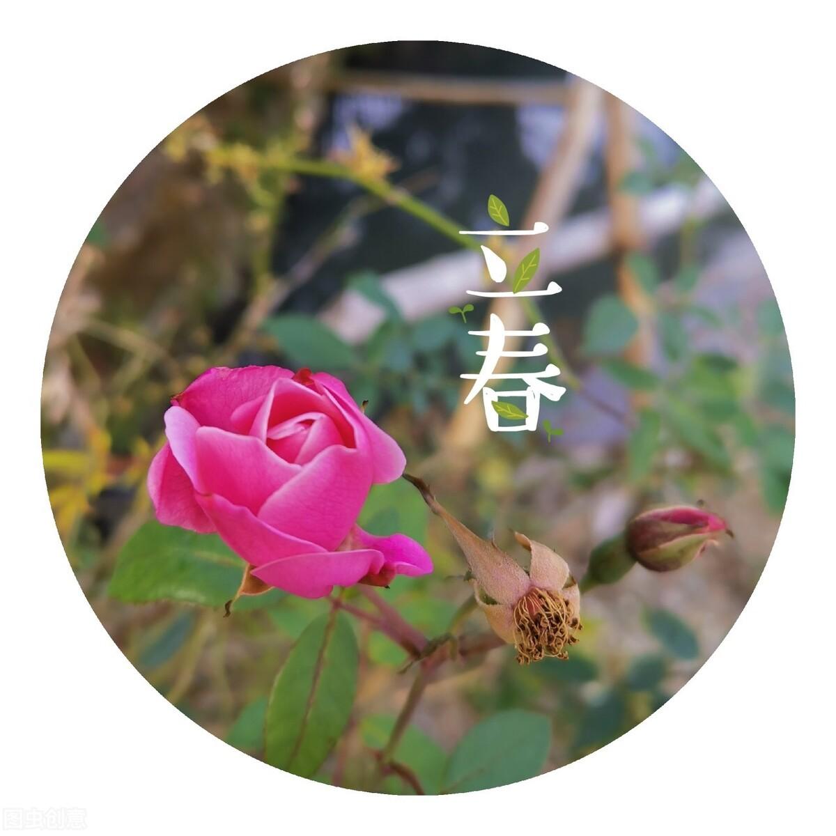疫情起始时间与全球影响分析