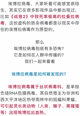 疫情爆发的年份，全球公共卫生危机的起点