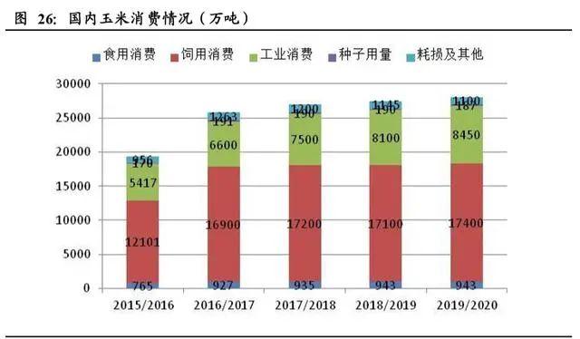 疫情爆发的年份与农历背景分析