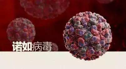 中国疫情最新数据及分析