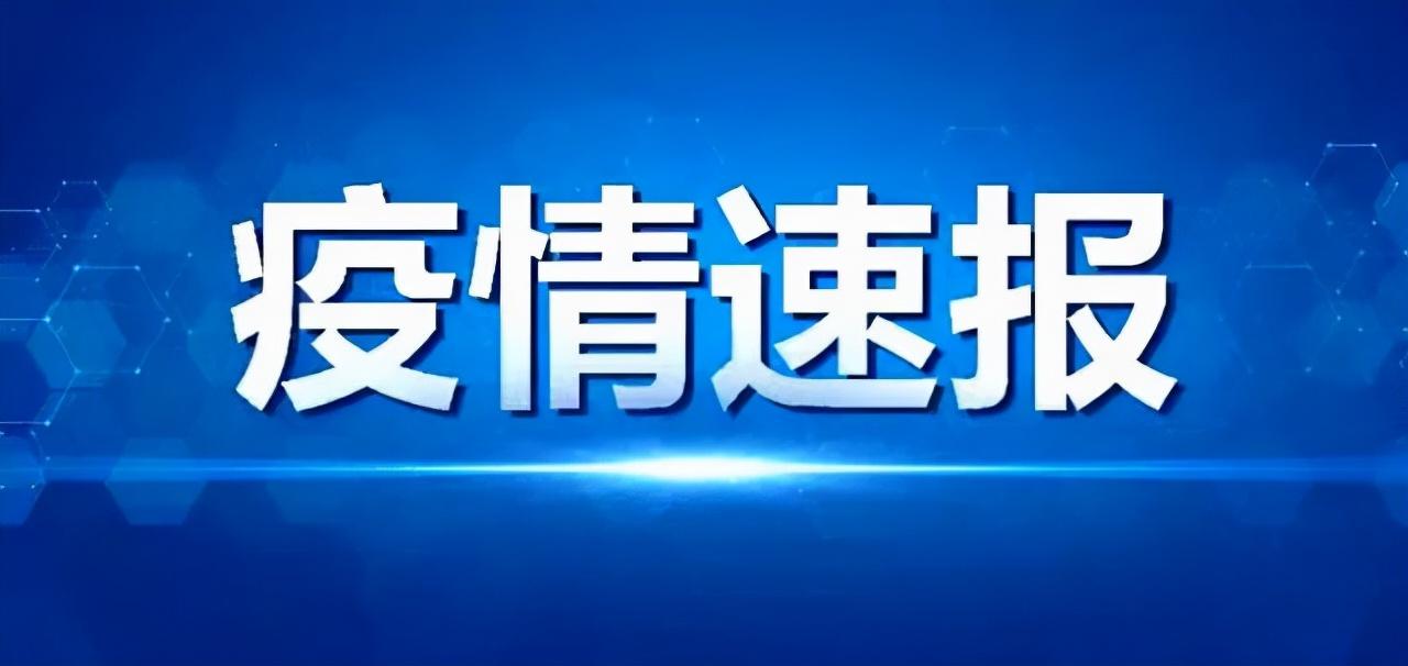 疫情2021最新情况，全球视野下的观察与反思