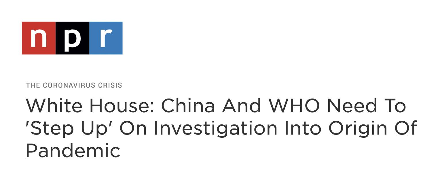 疫情起源时刻，回顾与反思
