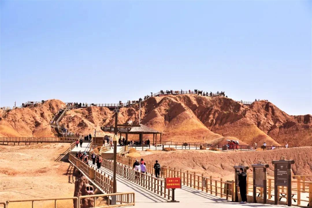 疫情下的旅游行业，何时能够重新开放旅游？
