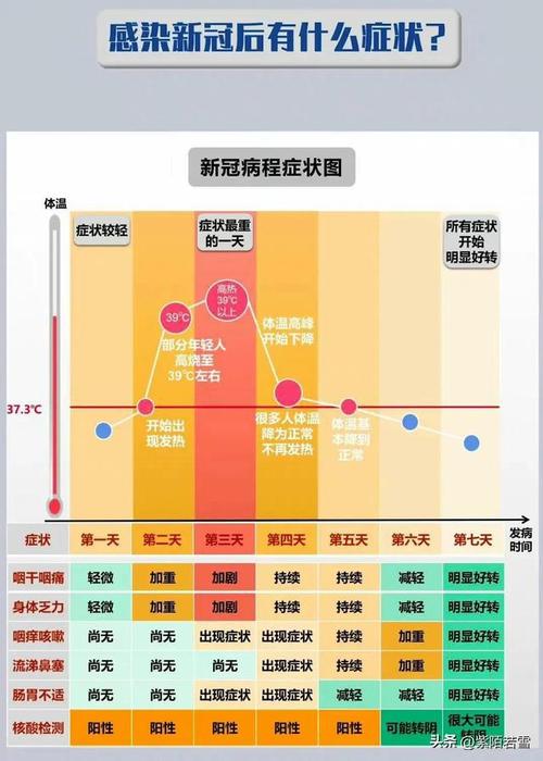 新冠疫疫情的开始时间及其影响