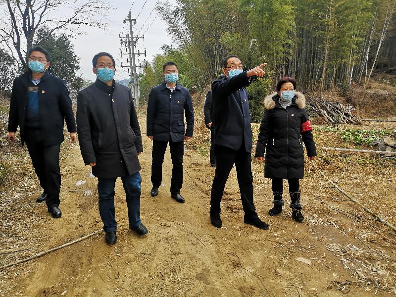 新冠疫情起源时间探究