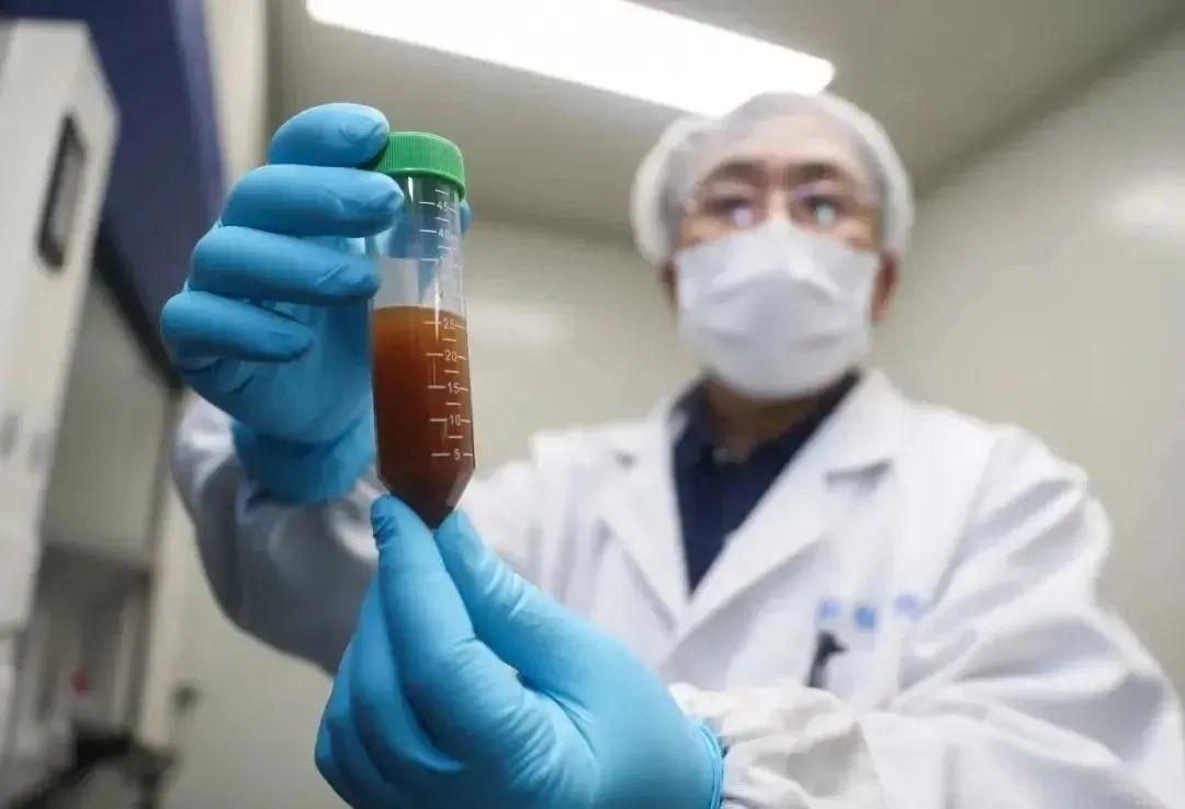 疫情时间线回顾，全球抗击新冠病毒的历程