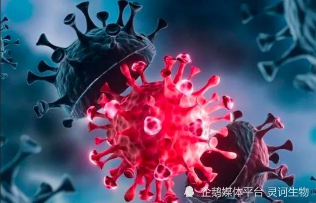 新冠疫情的起源与影响，回顾与前瞻