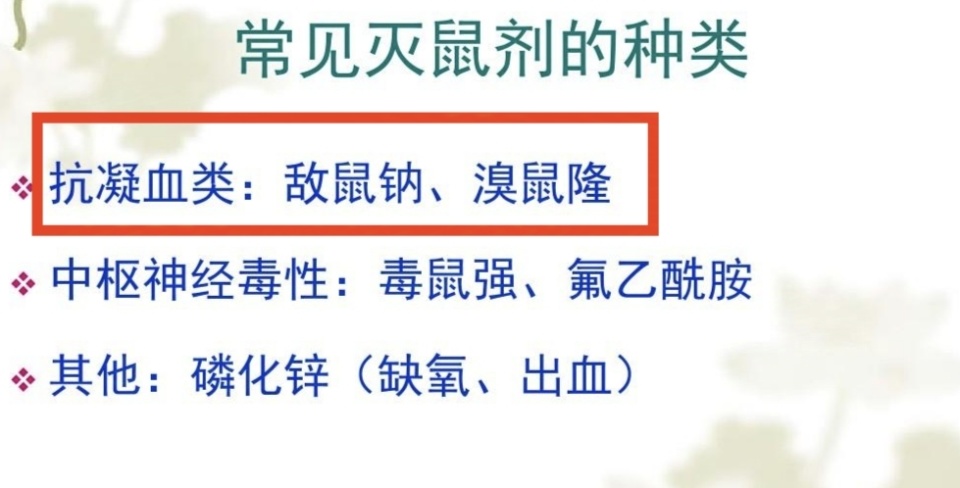 疫情那一年开始的，回顾与反思