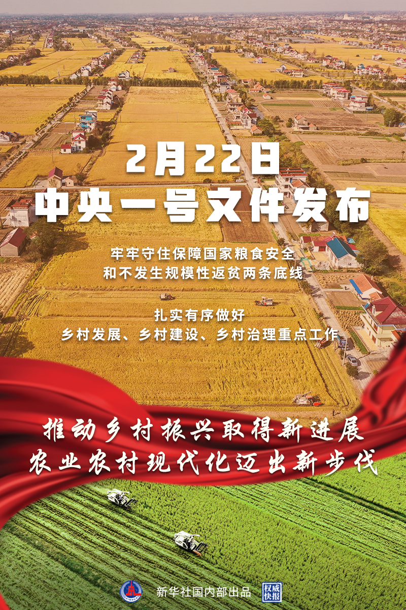 新冠疫情开始之年，回顾与前瞻