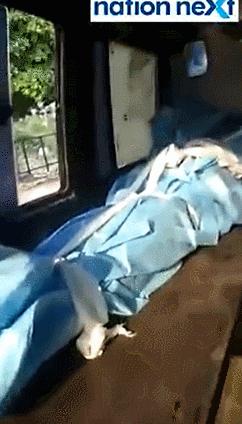 新冠疫情的爆发及其影响