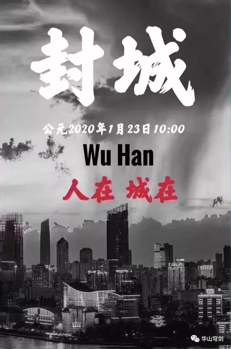 疫情最严重的一年，全球公共卫生危机的挑战与反思
