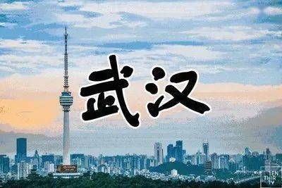 武汉疫情回首，那年发生的重大考验