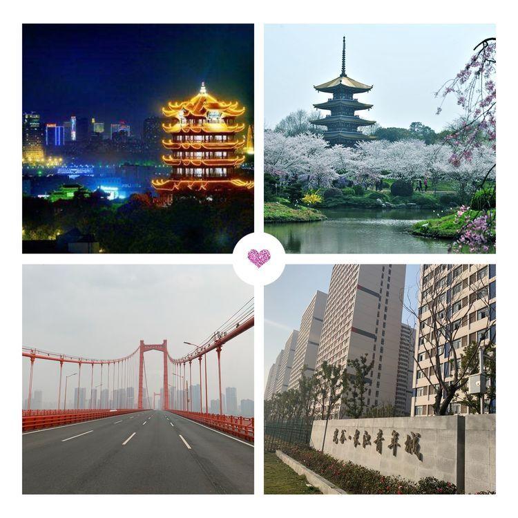 第一次疫情，回顾与启示