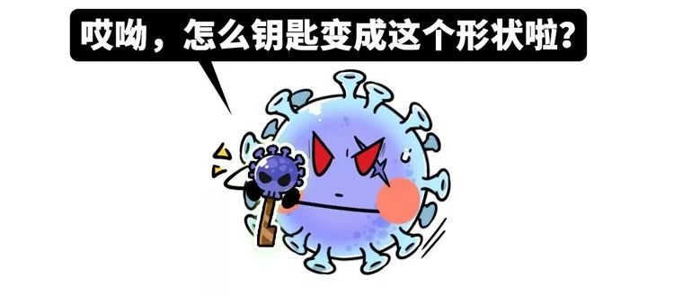 疫情何时消除，人类与病毒的较量与期盼