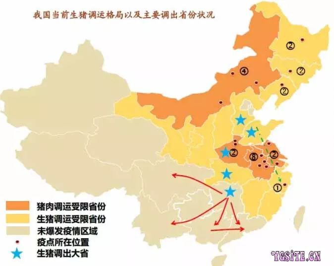 非洲国家疫情现状及其影响