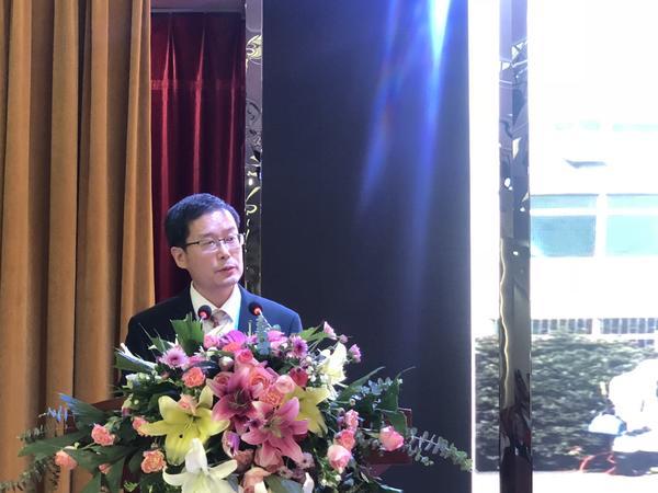 揭秘2009年疫情背后的病毒，历史回顾与深度解析