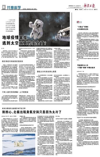 关于零九年疫情大爆发的原因的文章