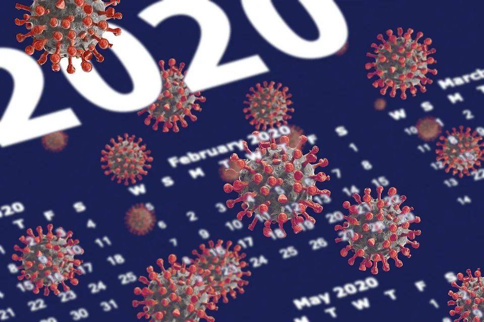 揭秘2020年疫情背后的病毒类型，新型冠状病毒的挑战