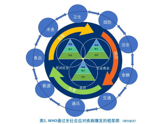 疫情起源与全球公共卫生挑战，关于疫情是否始于2020年的探讨