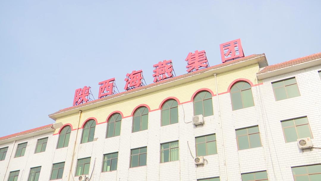 关于疫情的真实原因，探究2020年的疫情源头与起源