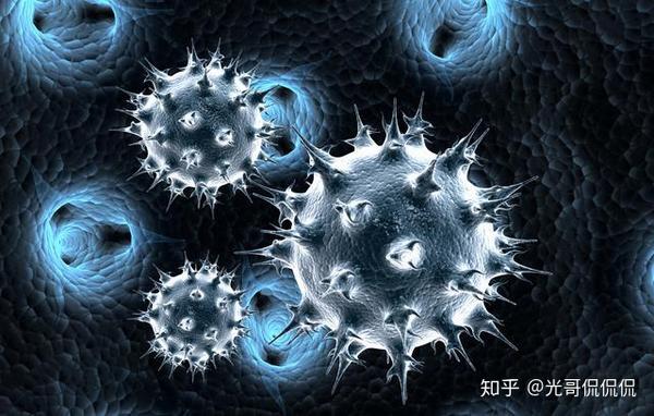 上次疫情的病毒感染，回顾与启示