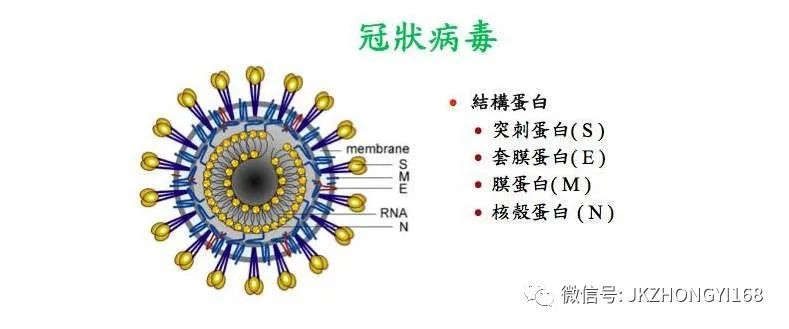 疫情，探究病毒起源与本质