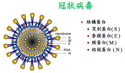 上次的疫情，探究新型冠状病毒的特征和影响