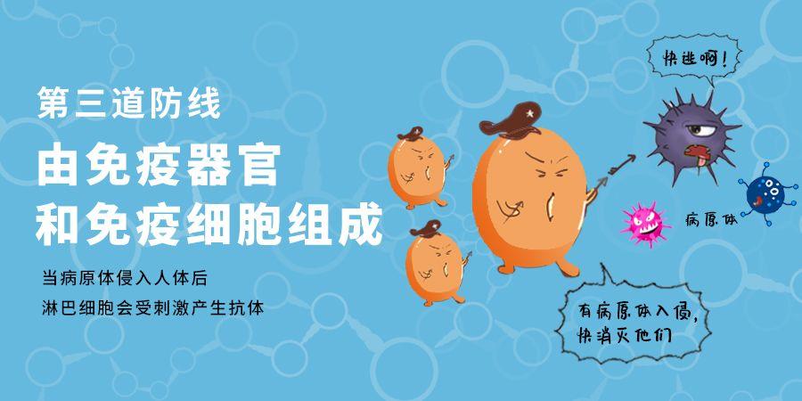 去年疫情何时发生，回顾与反思