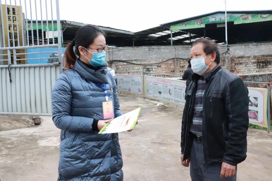 疫情开始的时间与全球公共卫生挑战的开端